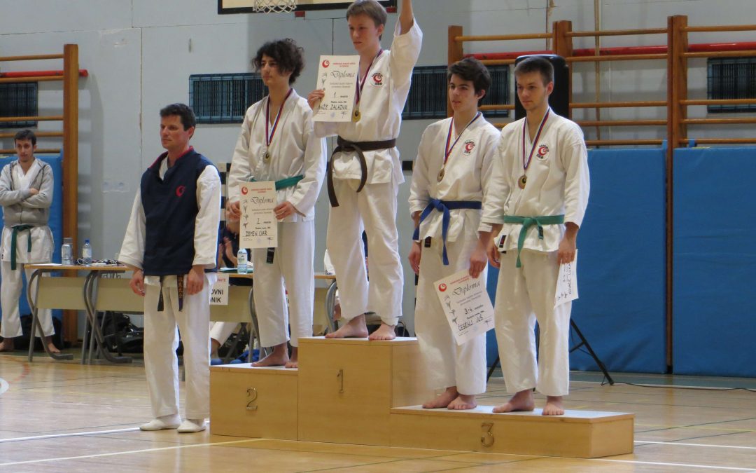 Državno prvenstvo Sankukai karate