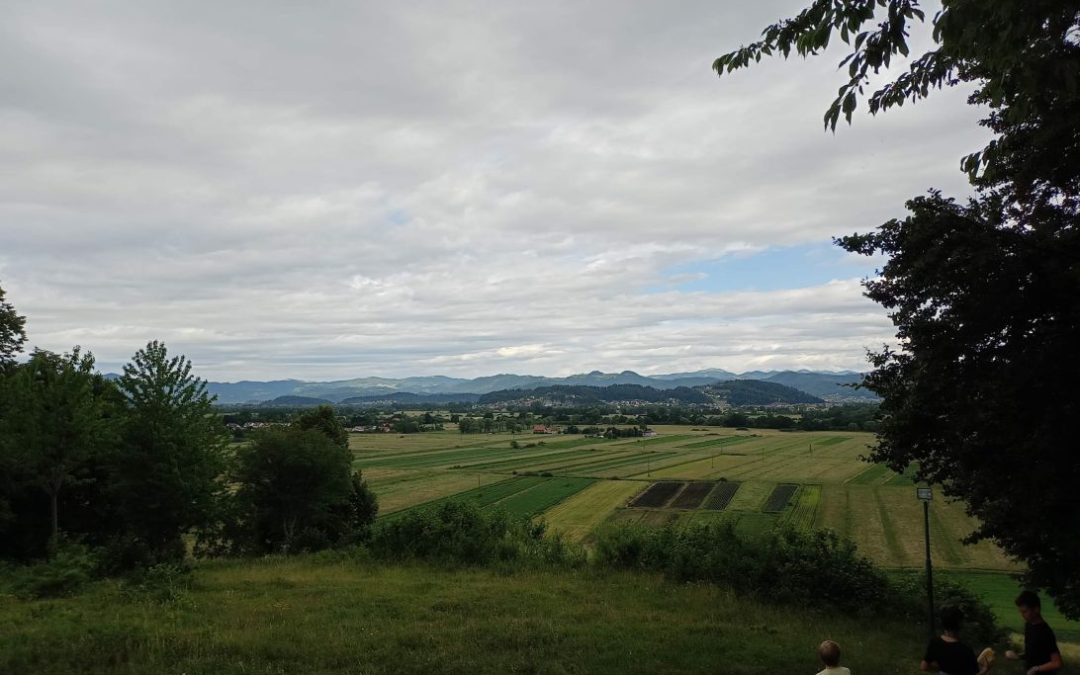 Ljubljansko barje – naravoslovni dan (5. razred)