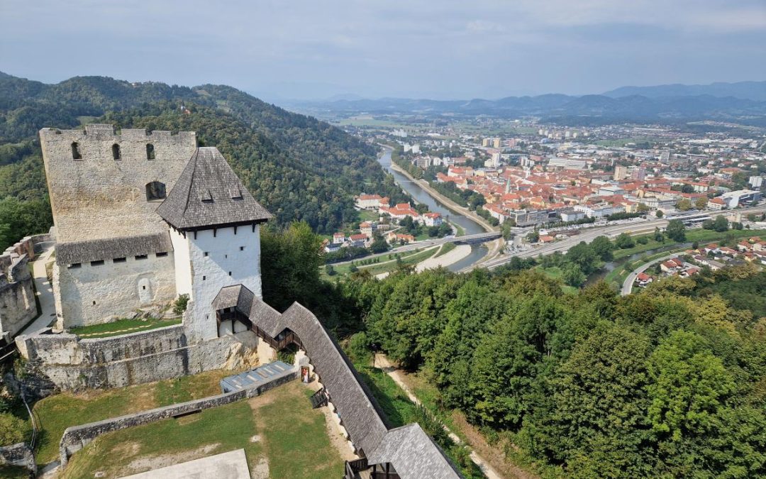 Celje (8. razred)