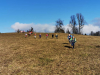 img_20200127_124152_1
