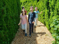 IMG20240529120552