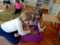 IMG20250114143041