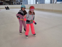 IMG-1dfe139d32704701eb2357ca644c9687-V