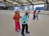 IMG-66a3ca10699d2c6206aee8fb981e5efa-V