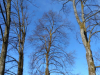 img_20190313_105537