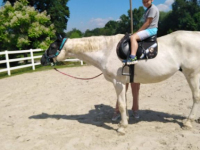 IMG-079dfdb39cecd487b3898a6a3e1307ee-V