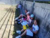 edf
