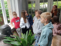IMG-277e5c54493c02eee44b863ee98a95c6-V