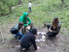 20190508_164414