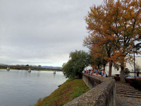 IMG20221025101559