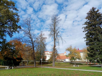 IMG20221026122433