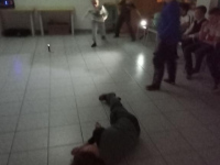IMG20221027191125