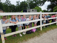 IMG-a4b0339be087ae2748c660e26f444f62-V