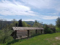 IMG20240415115839