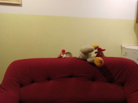 IMG20240416121350